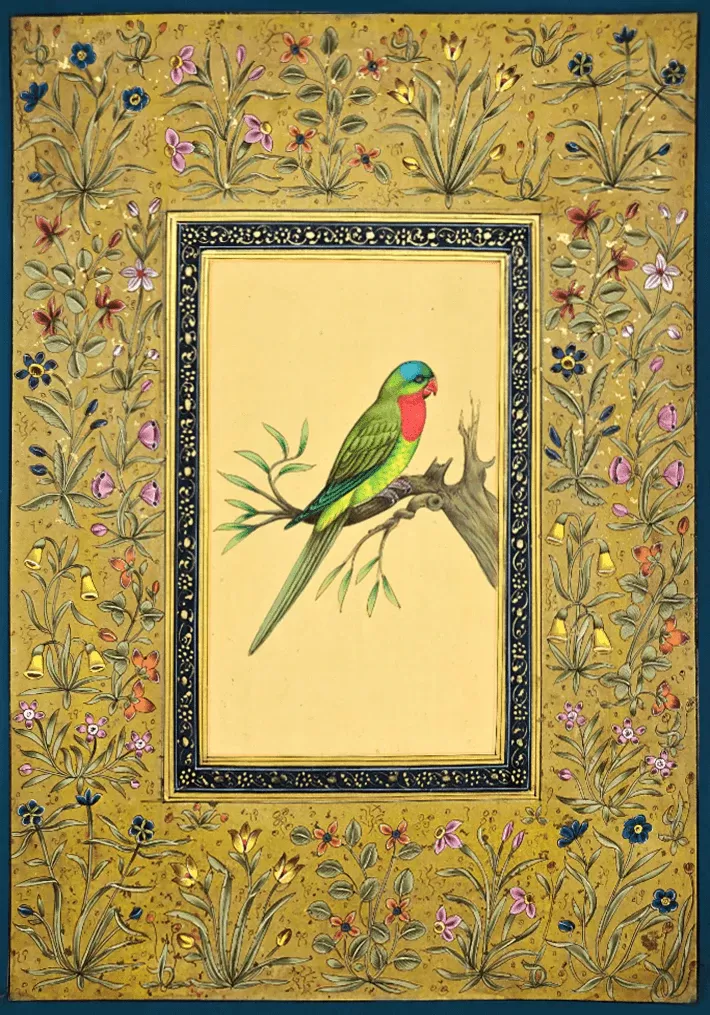 A Colorful Parrot in Miniature Painting by Mohan Prajapati