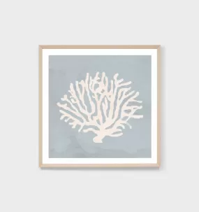 Coral Study Blue 2 Framed Print