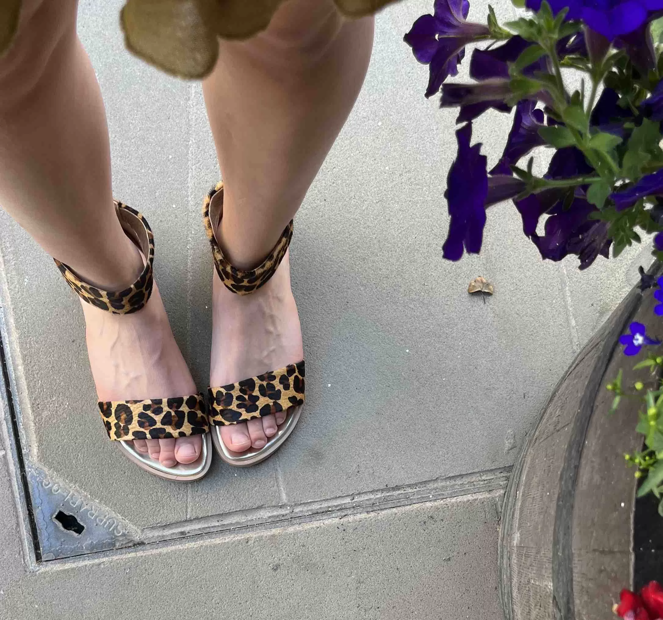 Marionette - Leopard flat sandal- 35, 37 and 40!