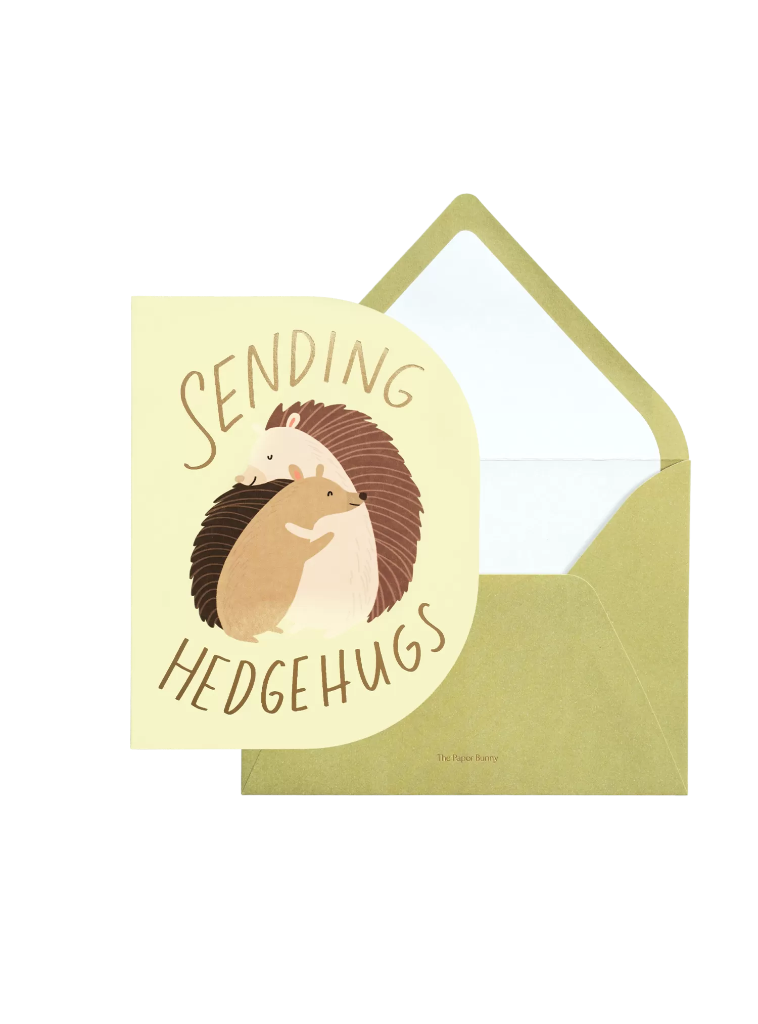 Sending Hugs Hedgehog Greeting Card